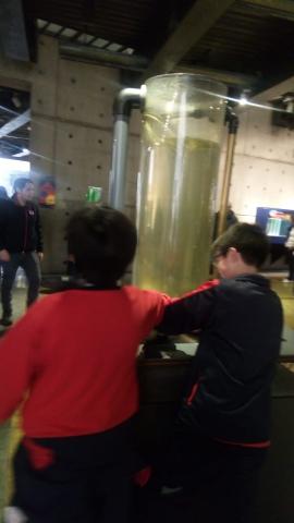 Alumnos de 4° y 5° visitaron el Museo Interactivo Mirador (MIM) image 9